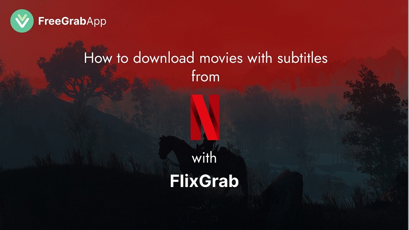 How to download both movies and subtitles to them from Netflix?