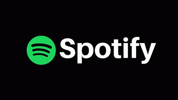 Download multiple tracks at once with Free Spotify Downloader