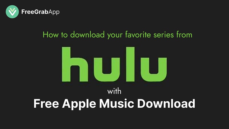 How to download your favorite series with Free Hulu Download?